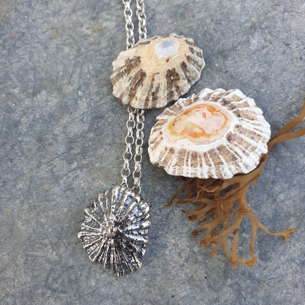 Silver limpet sea shell pendant