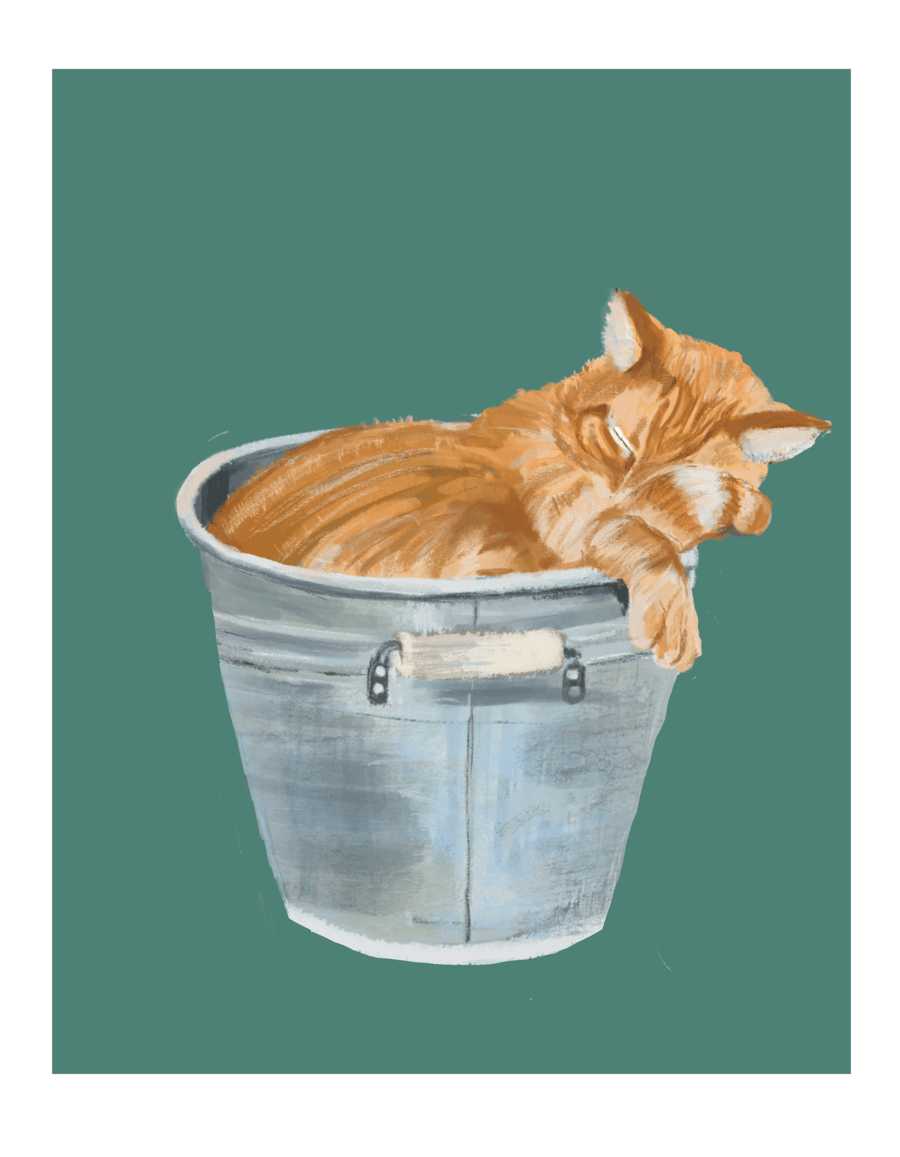 Cat Art Illustration 