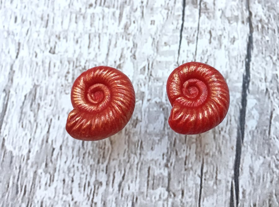 Red Ammonite fossil stud earrings with gold highlights 