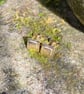 Small square 9ct gold stud earrings - Image 2
