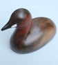 Little grebe - Image 4