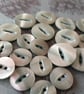 15mm & 21mm Suit Jacket buttons (Matching) - Image 1
