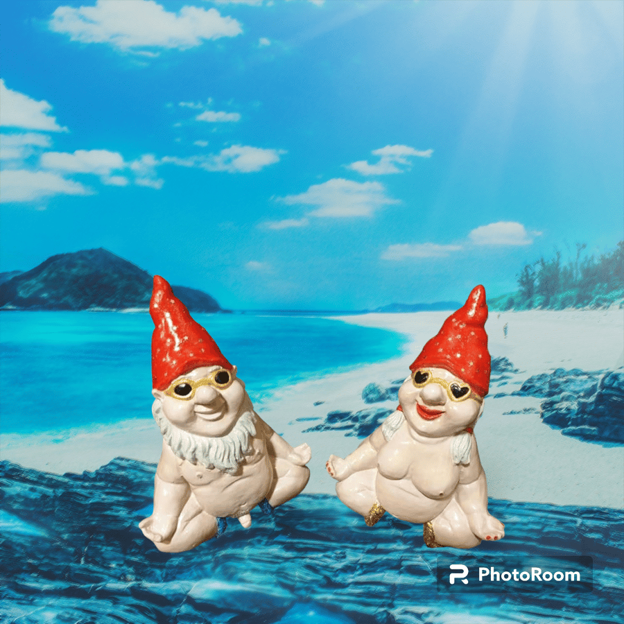 Personalised Naughty Garden Gnomes, Ornaments Funny Naked Rude Garden Statue 