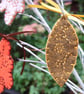 Little Autumn Leaves - Image 2