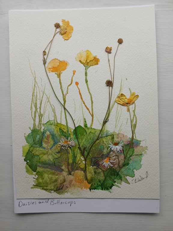Watercolour and Pressed flowers Buttercups and Daisies 
