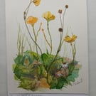 Watercolour and Pressed flowers Buttercups and Daisies 