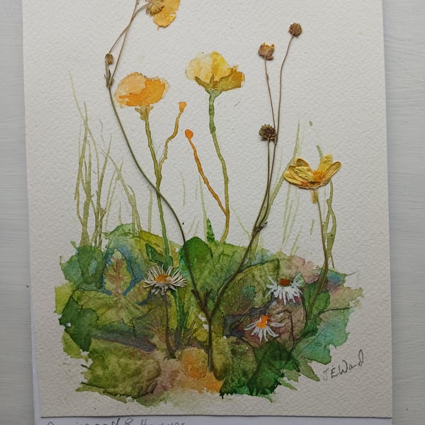 Watercolour and Pressed flowers Buttercups and Daisies 