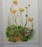 Watercolour and Pressed flowers Buttercups and Daisies 