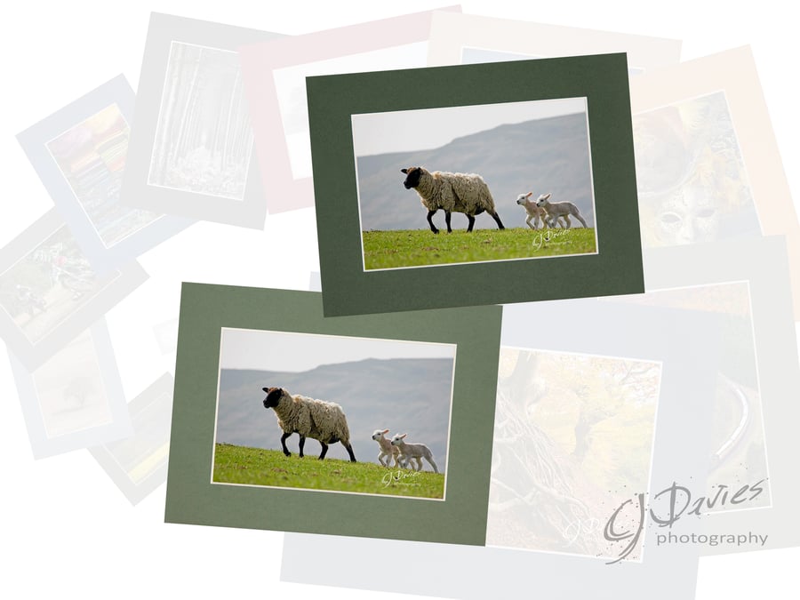 CJ139 - Following mum