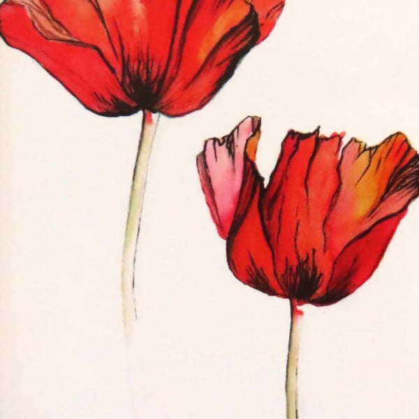 Red poppies reproduction blank greeting card plastic free 