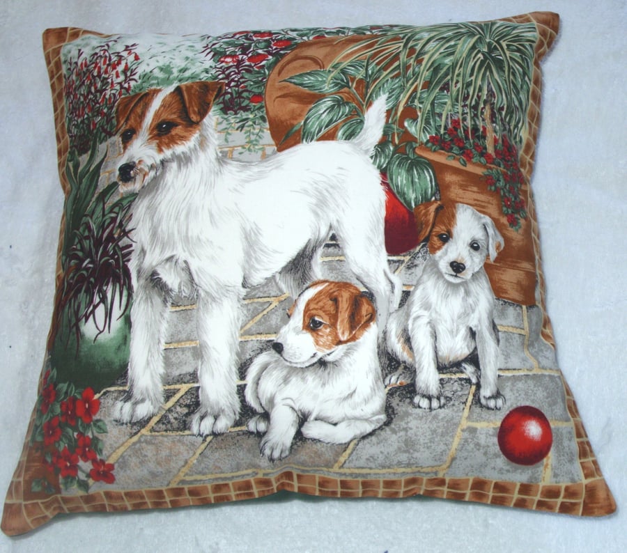 Jack Russel mum and pups in the garden cushion very rare !