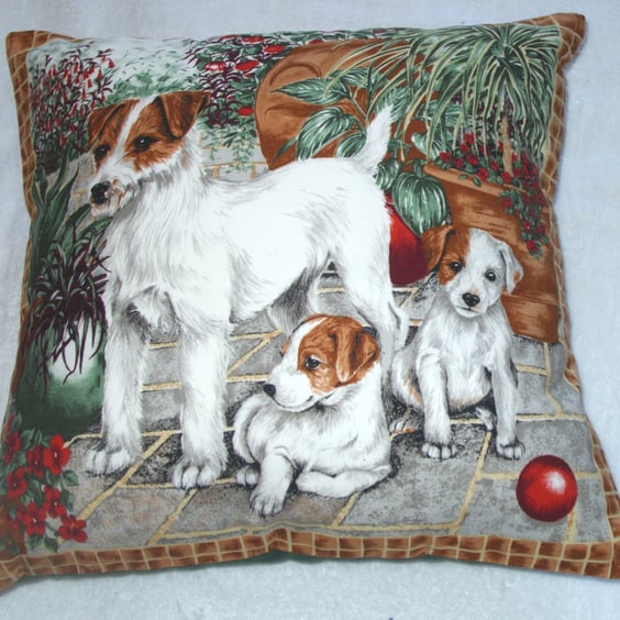Jack Russel mum and pups in the garden cushion very rare !