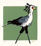 Limited edition: Secretary Bird Lino Print Mounted - Image 4