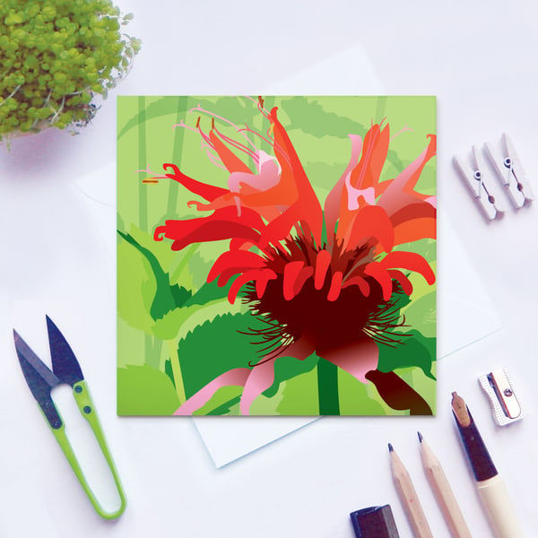 Bergamot Card - flower, birthday, for gardeners