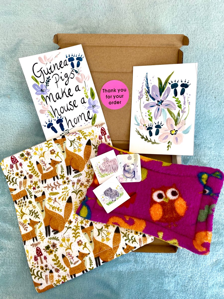 Guinea Pig Letter Box Gift Set 