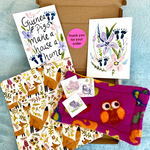 Guinea Pig Letter Box Gift Set 