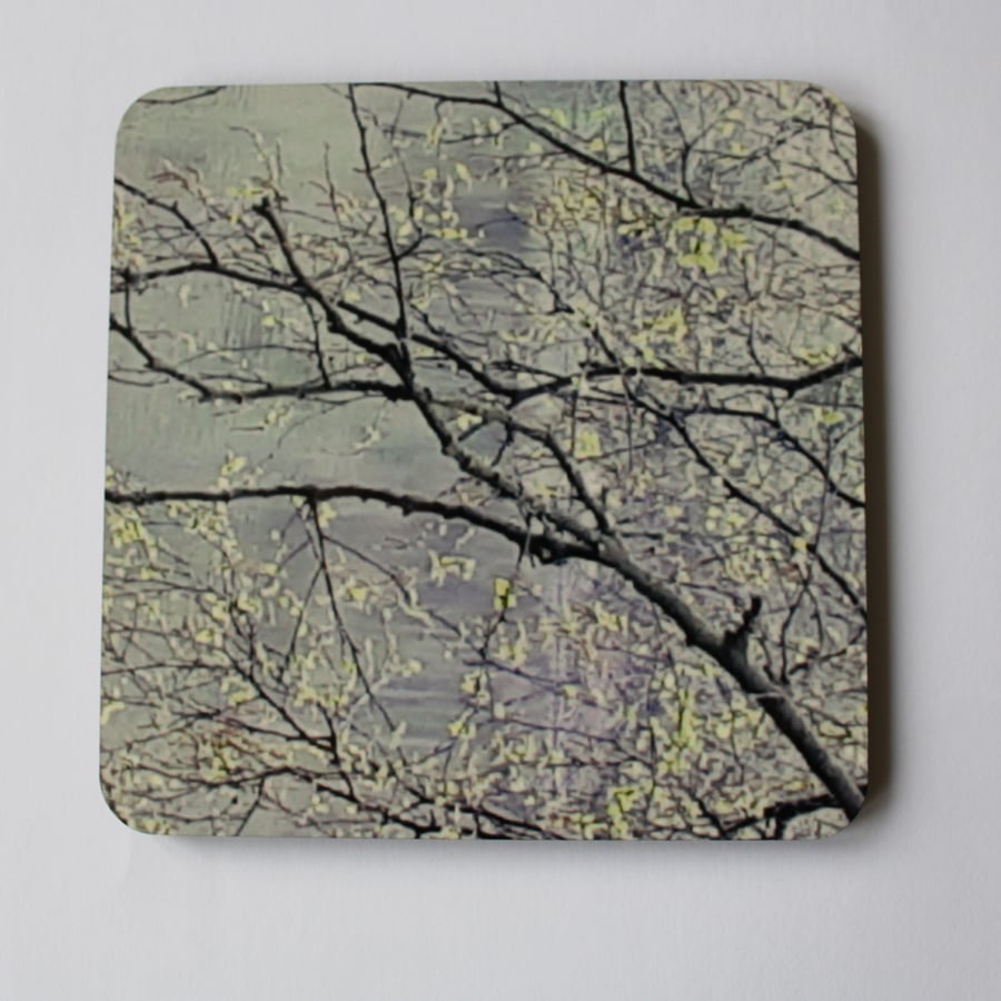 Coaster - 1 mdf coaster - tableware - willow branch print.
