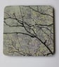 Perfectly Imperfect  -Coaster - 1 mdf coaster - tableware - willow branch print. - Image 1