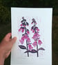 June foxgloves - Image 3