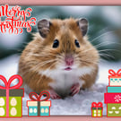 Merry Christmas greeting Card A5 Hamster Themed 