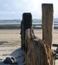 Crow Point 1 - Image 1