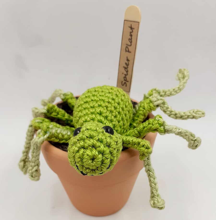 Crochet 'Spider Plant' in a Small Terracotta Pot