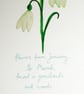 Snowdrop- British wild flower card - Image 5