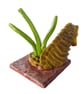Seahorse Mini Ceramic Sculpture - Hand Built - Image 4