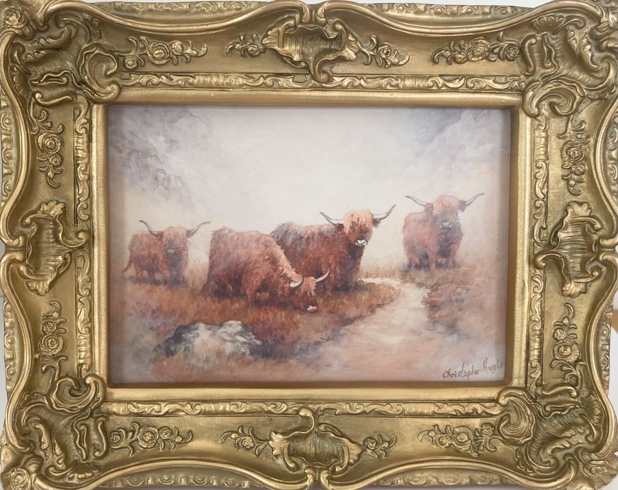 Highland Cattle. Framed Special Edition Canvas Print 