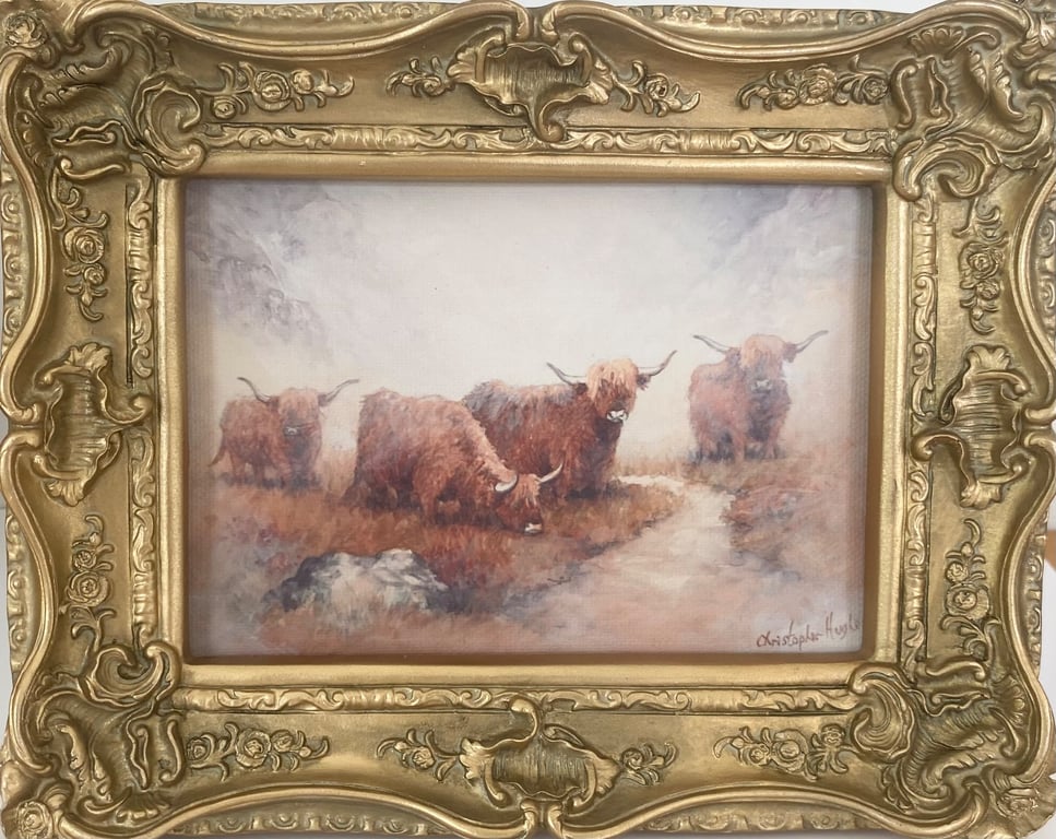 Highland Cattle. Framed Special Edition Canvas Print 