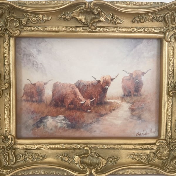 Highland Cattle. Framed Special Edition Canvas Print 
