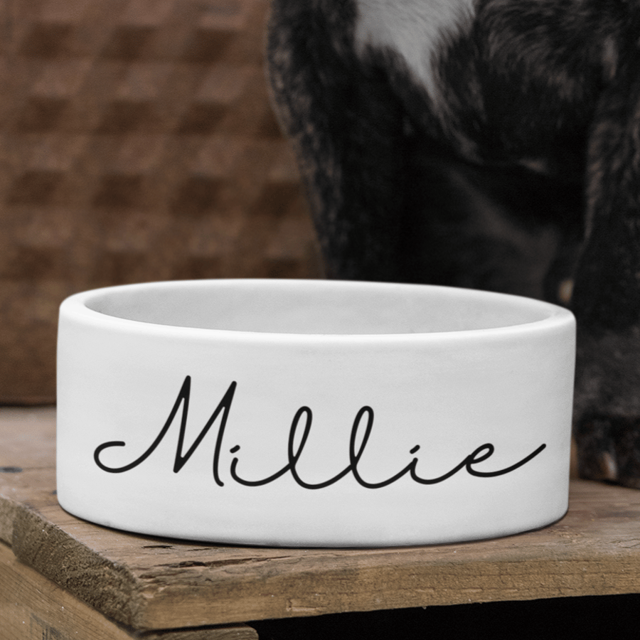 Personalised PLAIN Fancy Text Pet Bowl  Small Large Custom  Cat Dog Bowl