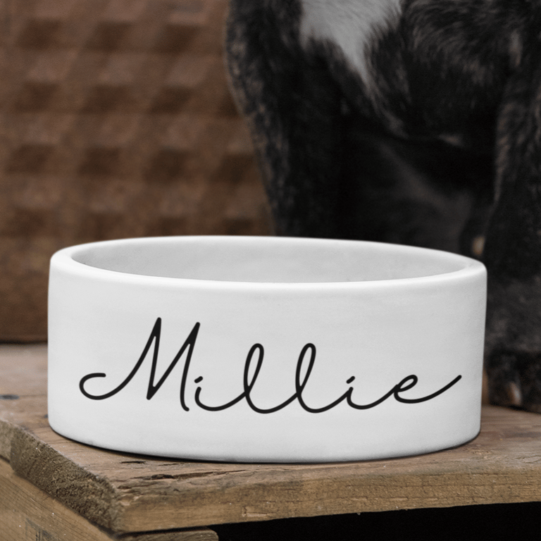 Personalised PLAIN Fancy Text Pet Bowl  Small Large Custom  Cat Dog Bowl