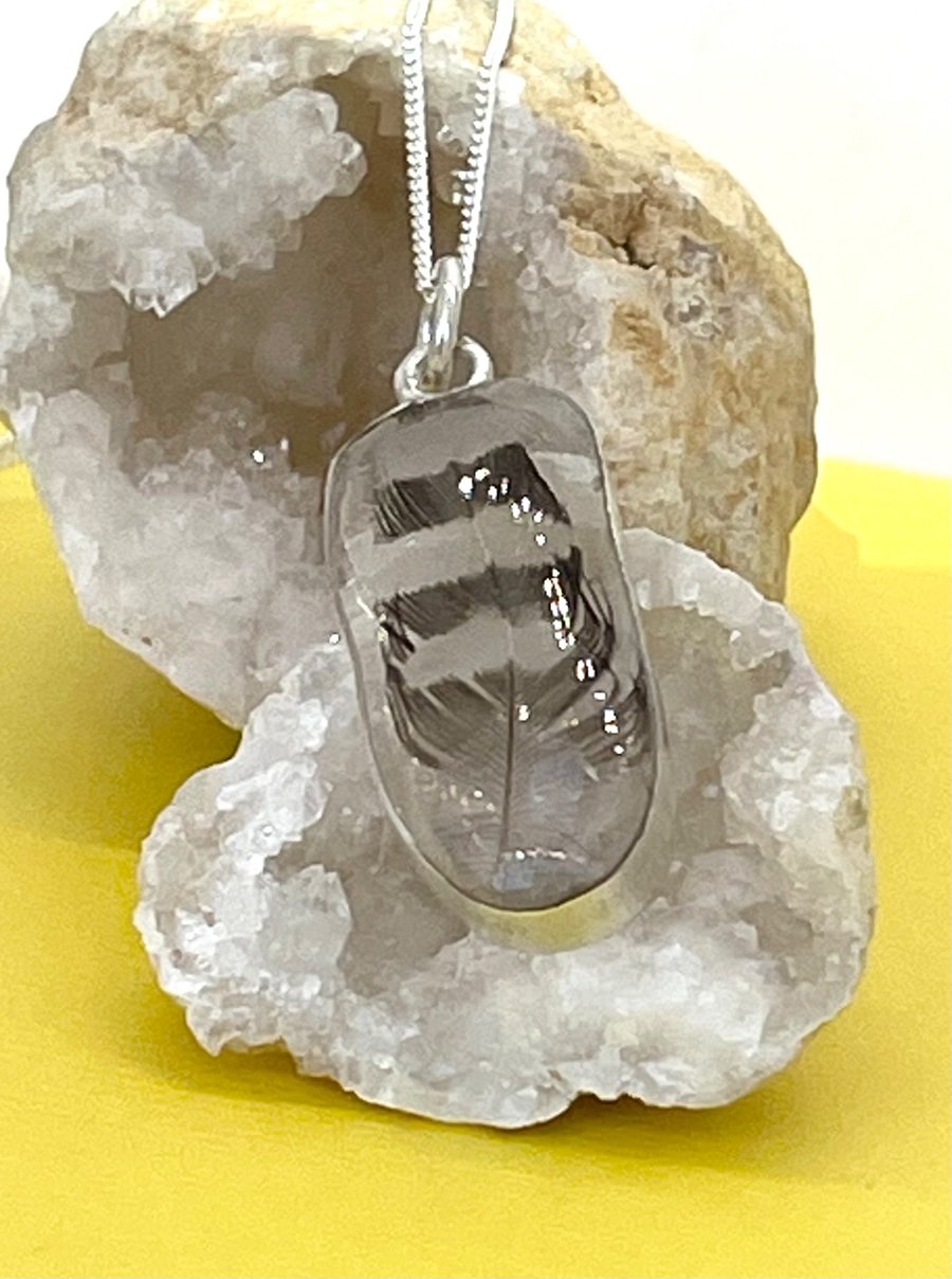 Finch feather pendant in silver