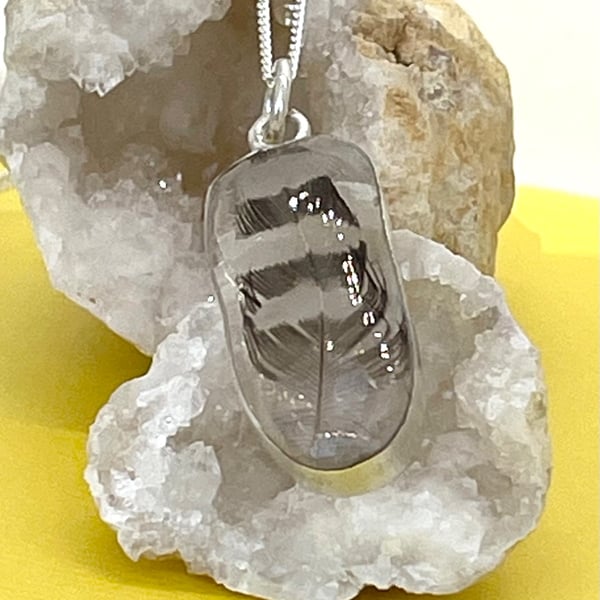 Finch feather pendant in silver