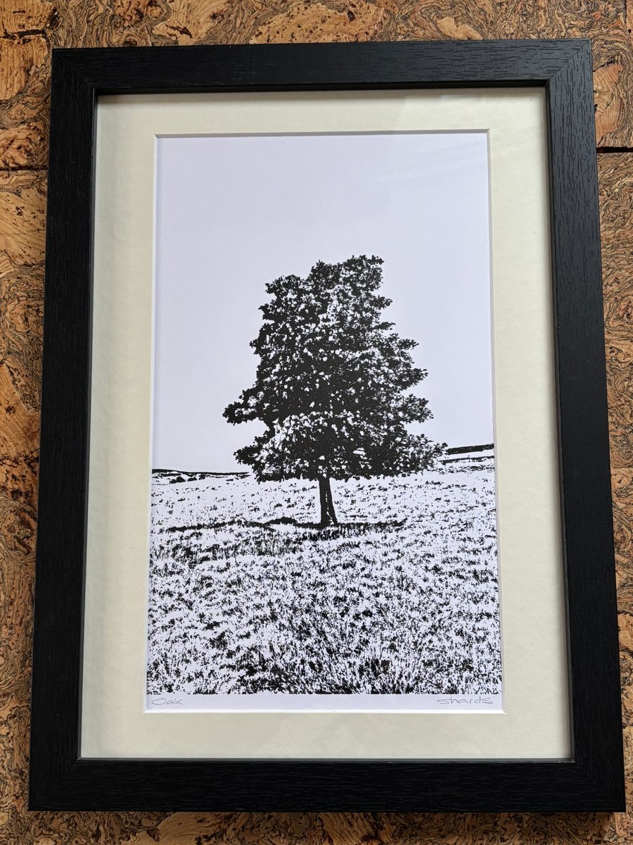 Singular monochrome print Eco friendly One of a Kind gifts Oak Tree