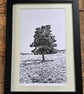 Singular monochrome print Eco friendly One of a Kind gifts Oak Tree - Image 1