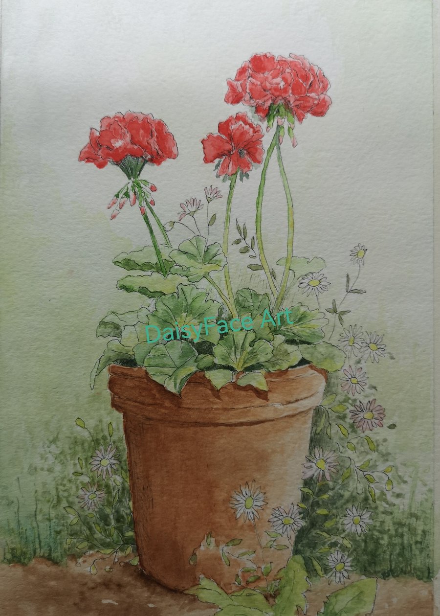 Red Geranium giclee print from original watercolour painting by Elaine Curtis