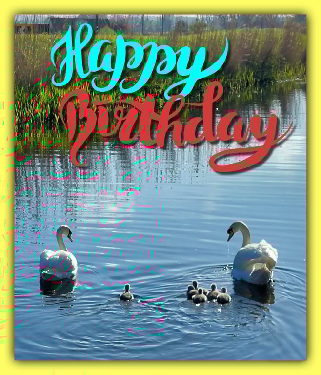 Happy Birthday Swans Card A5
