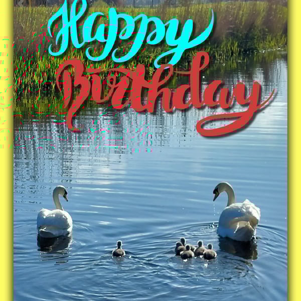 Happy Birthday Swans Card A5