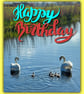 Happy Birthday Swans Card A5 - Image 1