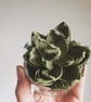 Paper Succulent I  - Image 2