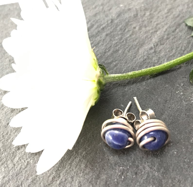 Sterling Silver Sodalite Stud Earrings