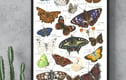 Art Prints
