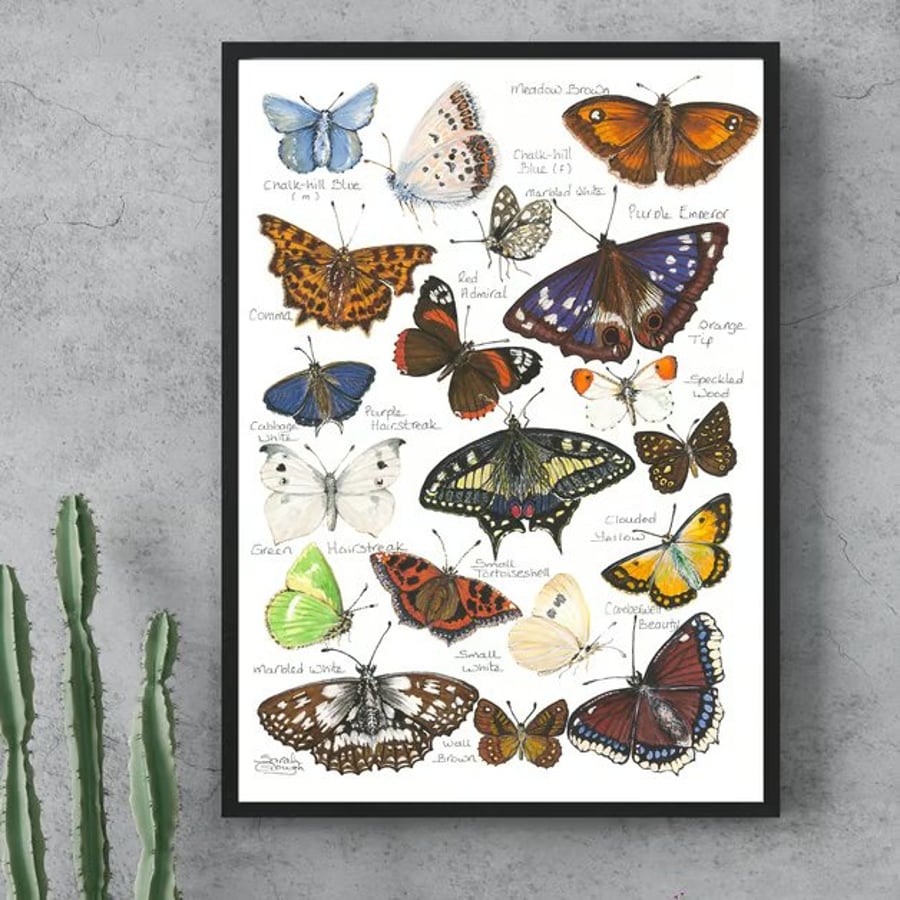 British & European Butterfly Study - Watercolour Fine Art Print - with Names