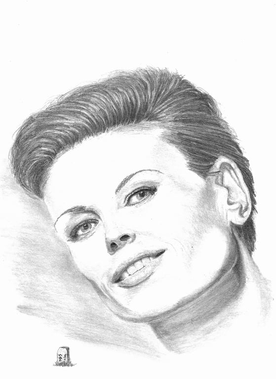 Portrait of a Model in Pencil