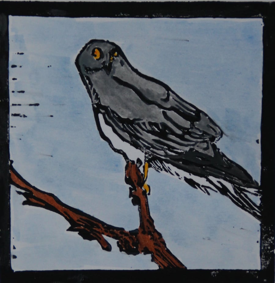 Hen harrier lino print, limited edition
