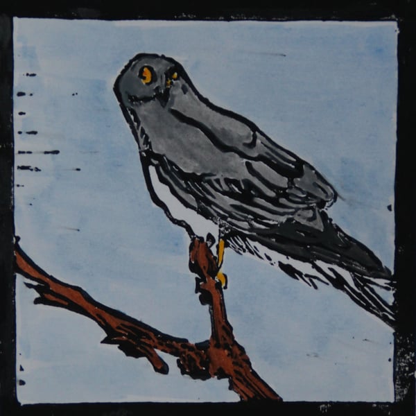 Hen harrier lino print, limited edition