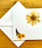 Pack of 3 greeting cards made with real pressed flowers found near home in Essex - Image 4