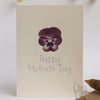 Mother's Day card, Viola, pressed flower card